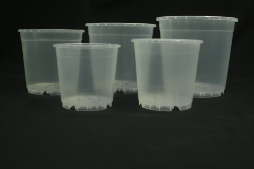 Transparent Pots in different sizes