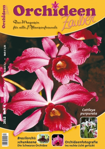 Buch/Heft: Orchideen-Zauber